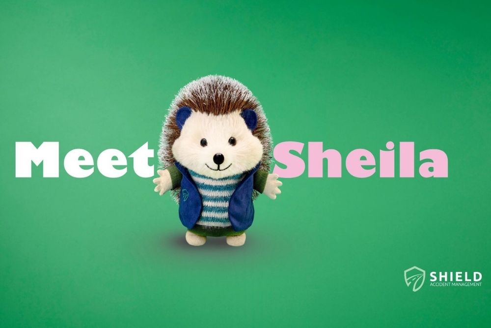 Meet Sheila: The Calm Behind Shield’s Collision Campaign
